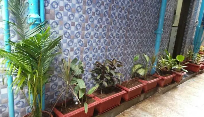 Villa: New Metro Guest House